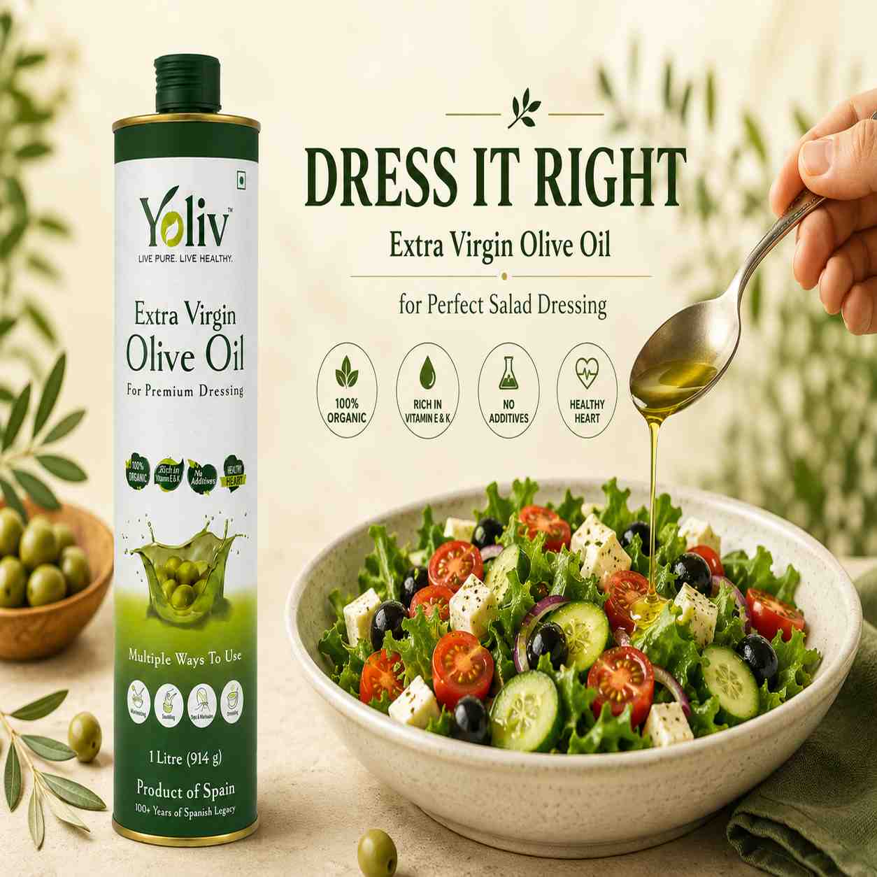 Spanish olive grove
